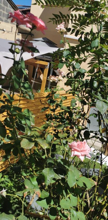 Apartamento Lyon Superbe Jacuzzi Vue Sur Jardin Villeurbanne Exterior foto